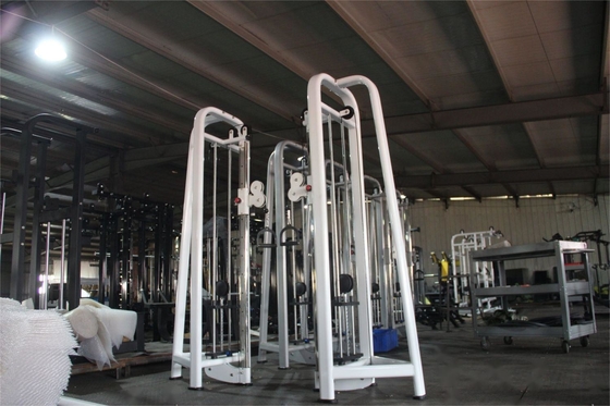 Das perfekte Ergänzungsmittel zu Ihrem Krafttraining