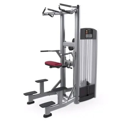 Stärke-Training-Pin geladen Pull Up Bar Trizeps Deltoids Training Dipping-Maschine