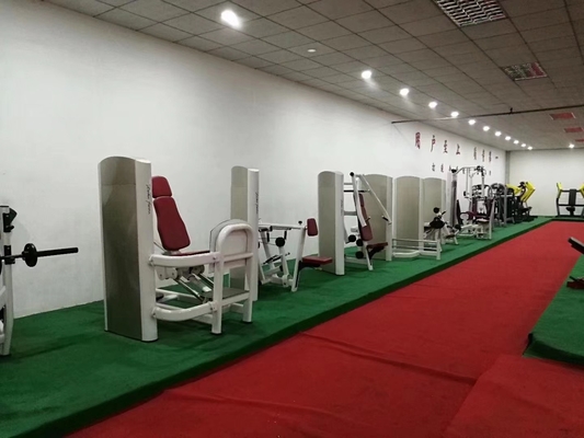 Gewerbliche Fitnessstudio-Ausrüstung Pin-belasteter Bauchtrainer Verstellbare Rückenverlängerung Maschine