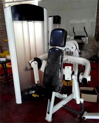 Beste Biceps Curl-Maschine mit individuellem Logo erhältlich