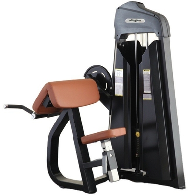 Gewerbliche Krafttraining Fitnessstudio Ausrüstung Bicep Curl Maschine mit individuellem Design