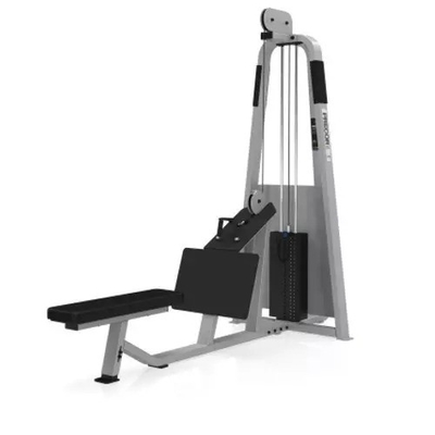 Stylische Multifunktionstrength Training Low Row Machine für definierte Schultern und Rücken