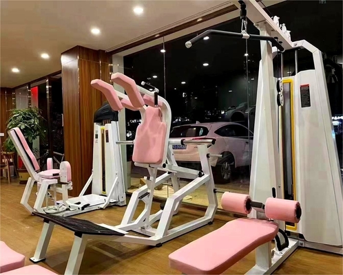 Stylische Multifunktionstrength Training Low Row Machine für definierte Schultern und Rücken