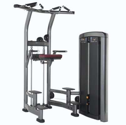 Stahl-Pin-Ladung Pull-Up Bar Trizeps Deltoids Training unterstützt Kinn Dip Maschine für Stahl