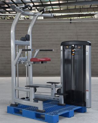 Stahl-Pin-Ladung Pull-Up Bar Trizeps Deltoids Training unterstützt Kinn Dip Maschine für Stahl