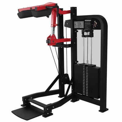 Erleben Sie die Leistungsfähigkeit der individuell angepassten Standing Calf Gym-Ausrüstung für optimale Ergebnisse