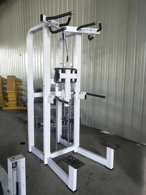 Personalisierte Logo-Pin-Ladung Fitness ausgewählte Assistenz Dip Chin Maschine für Bodybuilding 262KG