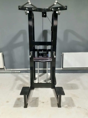 Personalisierte Logo-Pin-Ladung Fitness ausgewählte Assistenz Dip Chin Maschine für Bodybuilding 262KG