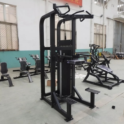 Personalisierte Logo-Pin-Ladung Fitness ausgewählte Assistenz Dip Chin Maschine für Bodybuilding 262KG