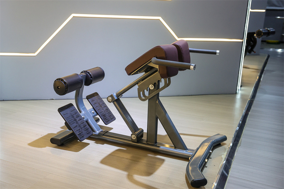 Gewerbliche Fitnessgeräte Rückenverlängerung Römischer Stuhl mit 1360*790*880 Metallrahmen