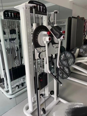 Krafttraining Gymnaseinrichtung mit optionalen Auswahlrahmenfarbe und Materialien