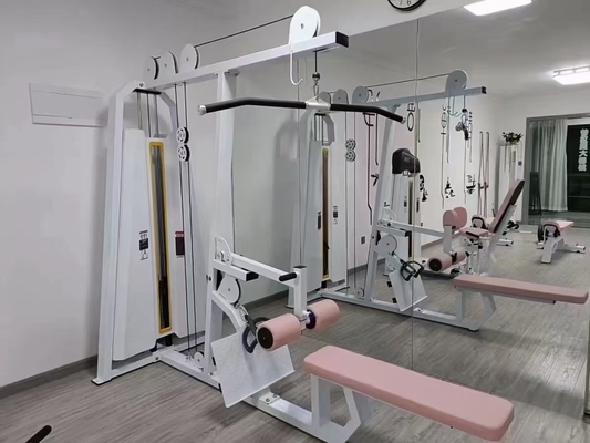 Gewerbliche Fitness-Ausrüstung für den Fitnessstudio mit niedrigem Sitz und individuellem Logo