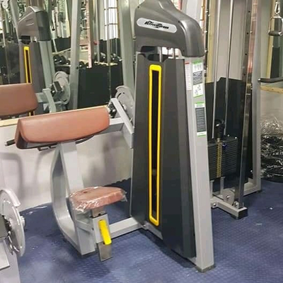 Mittlere Ladegerät Fitnessgeräte für den Fitnessstadion Pin-ladener sitzender Bicep-Curl-Maschine für das Training