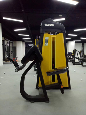 Stahlbizeps Trizeps Curl Ausrüstung für mittlere Lastmaschine Fitness-Gymnastik-Maschine bei Befreeman