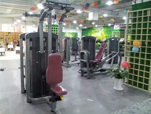 Fitnessstudio-Pin-Lastgeräte Rückseite Delt Pec Fly Machine für Krafttraining angepasst