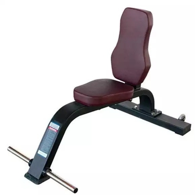 Mehrzweckbank für kommerzielle personalisierte Fitnessgeräte von Befreeman Fitness