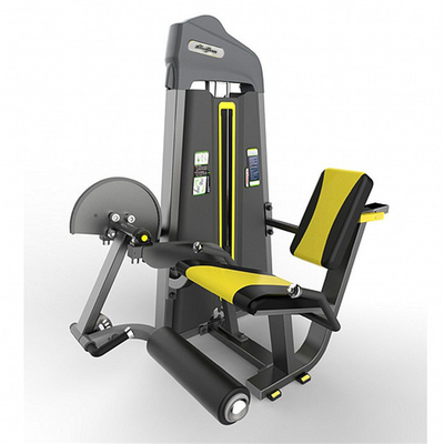 Befreeman Fitness Fitness Gym Ausrüstung Sitzbein Krümmen Beinverlängerung für Krafttraining