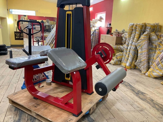 Erleben Sie die Kraft der Bein-Curl-Maschine im Befreeman Indoor Gym