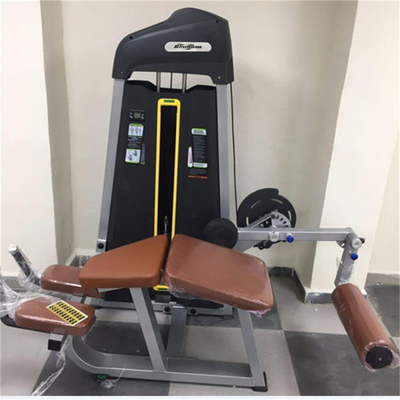 Erleben Sie die Kraft der Bein-Curl-Maschine im Befreeman Indoor Gym