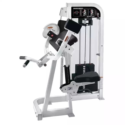 Steel Strength Machine Biceps Curl Sitz Biceps Curl Machine von Befreeman für das Fitnessstudio
