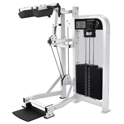 Fitnessstudio Stehende Kalb-Erhöhung Maschine Stahl Bodybuilding bei Befreeman