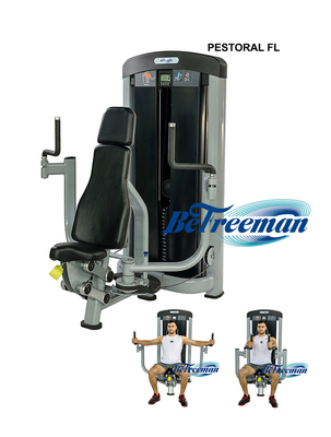 Personalisierte Logo Universal Real Triangle Pectoral Fly Machine für FL Fitness-Ausrüstung