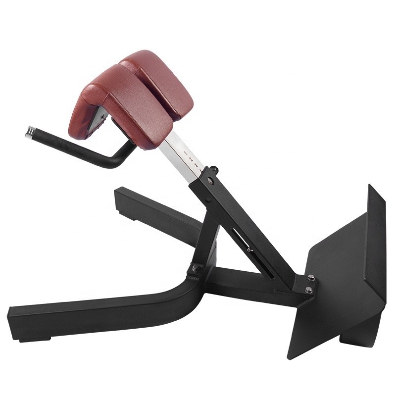 Krafttraining Multifunktionales Arm Curl Back Extension Bench Römischer Stuhl für Unisex