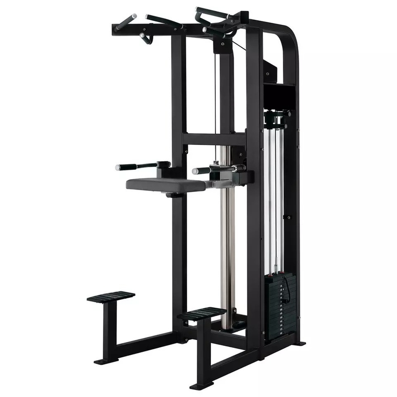 Personalisierte Logo-Pin-Ladung Fitness ausgewählte Assistenz Dip Chin Maschine für Bodybuilding 262KG